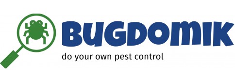 Bugdomik shop Poland